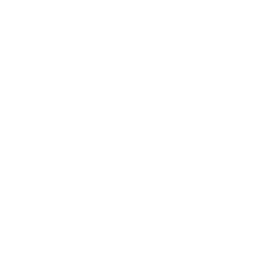 Agile Leader Center