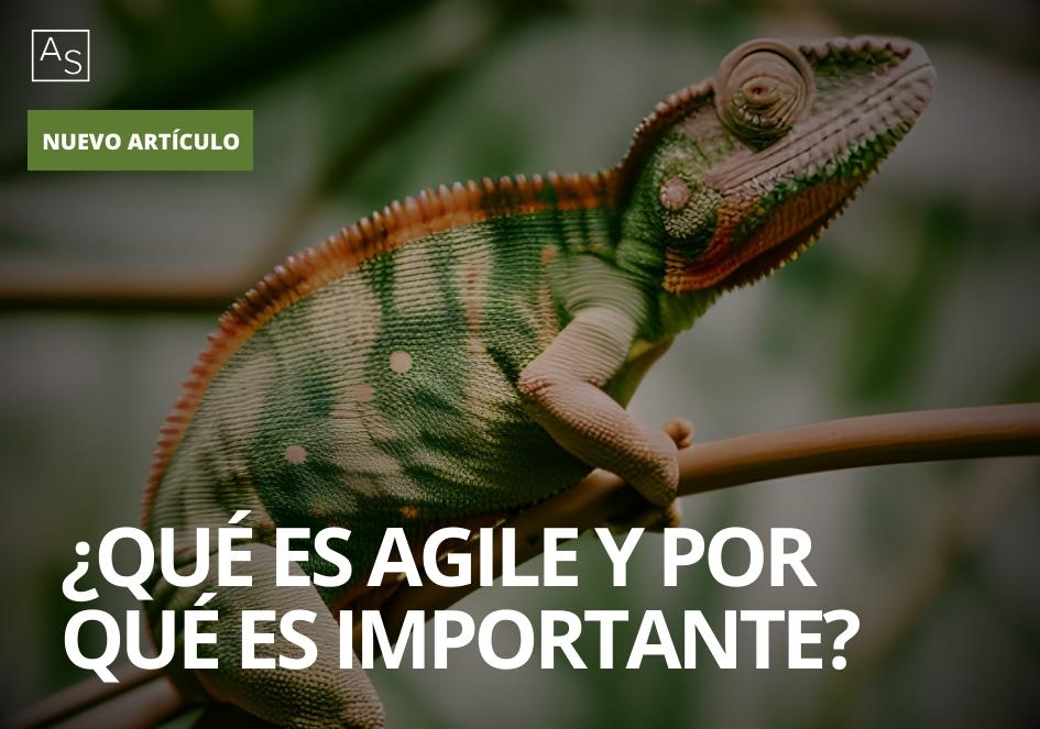 ¿Qué es Agile y por qué es importante?